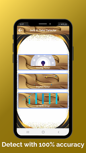 Gold & Metal Detector - EMF Screenshot 1