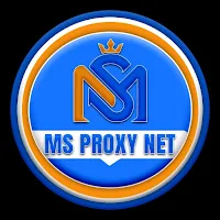 MS PROXY NET