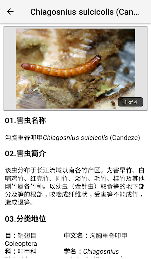 Bamboo Pest ID Screenshot 2