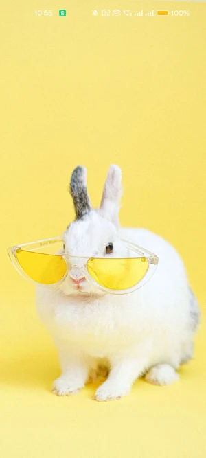 FaunaFrame - Animal Wallpapers Screenshot 2