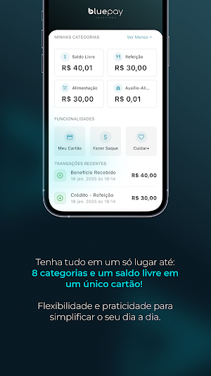 Bluepay Multibenefícios Screenshot 2