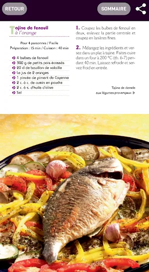 Tajines et plats du Maroc Screenshot 2