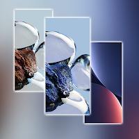 Xiaomi 12T Pro Wallpaper
