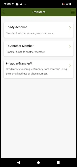 Niverville Credit Union Screenshot 1