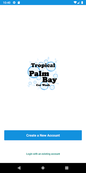 Tropical Palm Bay Car Wash Screenshot 0