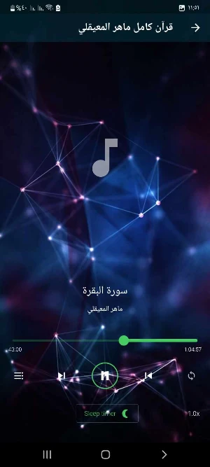 قرأن كامل ماهرالمعيقلي بدون نت Screenshot 1