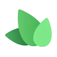 Ivy Flip