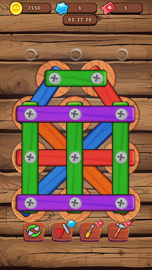 Nuts & Bolts Unscrew It Puzzle Screenshot 1