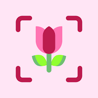 FloraSnap - Flower Identifier