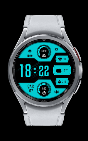 CNRwatch009 Screenshot 2