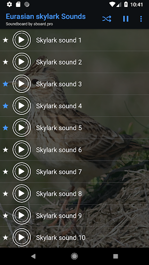 Skylark Bird Sounds ~ Sboard.pro Screenshot 3