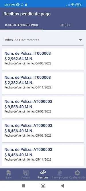 ConsultoriaEnRiesgos Screenshot 3