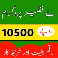 Ehsaas BISP 10500 Guide 2024