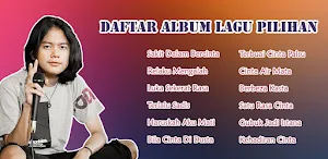 MP3 Maulana Ardiansyah Offline Screenshot 1