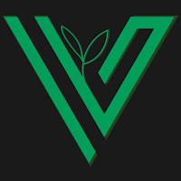 V Group