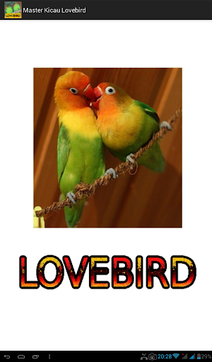 Master Kicau Lovebird Screenshot 0