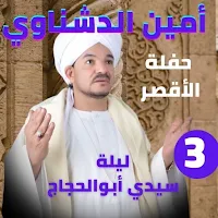 امين الدشناوي-  حفلة الأقصر كاملة بدون نت