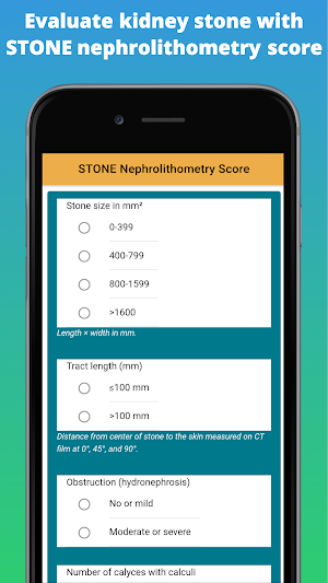 Kidney Stone Scoring Screenshot 0