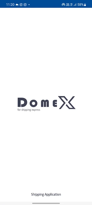 Domex Express Screenshot 0