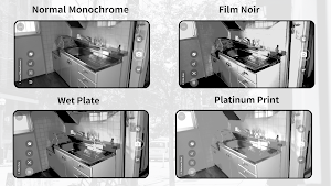 Monochrome Camera Screenshot 2