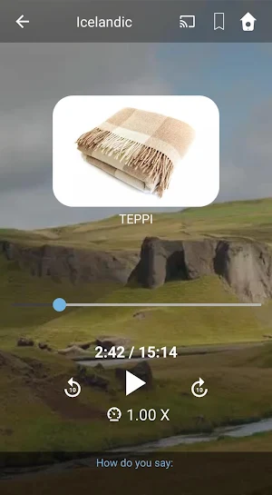 Learn Icelandic. Speak Icelandic. Study Icelandic. Screenshot 2