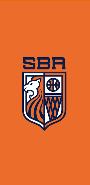 Scholar Basketball Academy Screenshot 0
