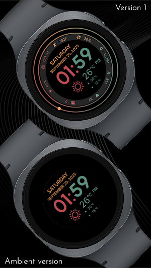CELEST5590 Data Hub Watch Screenshot 0