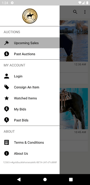 Gold Buckle Horse Sale Screenshot 3