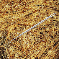 a needle in a haystack