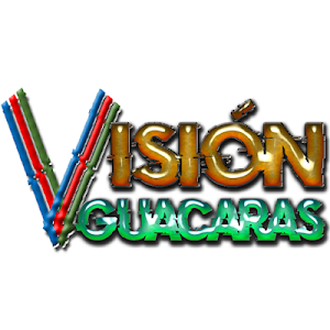 Visión Guacaras Screenshot 2