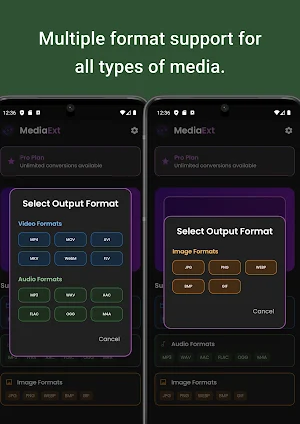 MediaExt: Video to Audio Screenshot 2