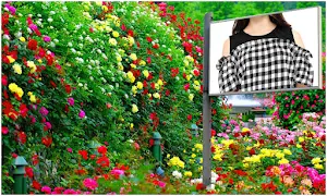 Hoarding Photo Frames Screenshot 3