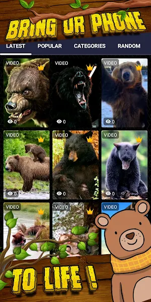 bear wallpaper Screenshot 1