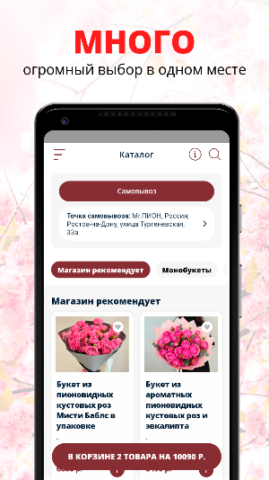 Mr.ПИОН | Ростов-на-Дону Screenshot 0