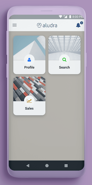 Aludra Ventas Asistidas Screenshot 2