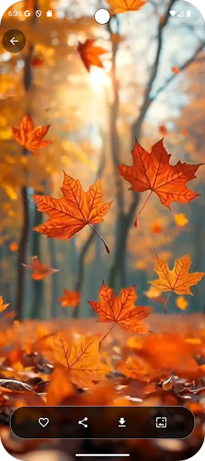 Live Wallpaper Screenshot 0