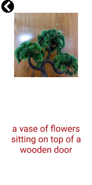 Image Recognizer Screenshot 2