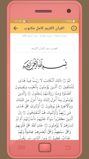 okasha kameny Holy Quran Screenshot 2