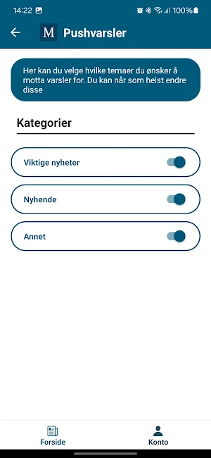 Midsundingen Screenshot 3