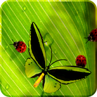 Friendly Bugs Live Wallpaper