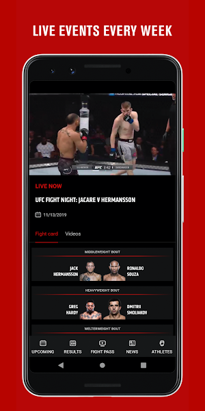 UFC Screenshot 1