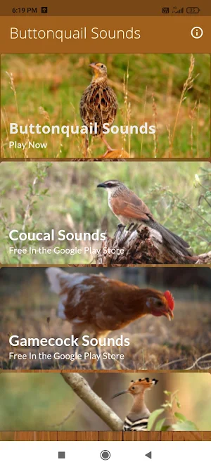 Buttonquail Sounds Screenshot 0