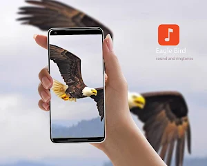 Eagle Sound Effects Screenshot 0