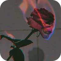 Aesthetic background