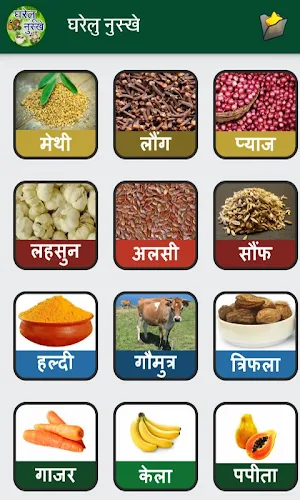 Gharelu Nuskhe in Hindi Screenshot 1
