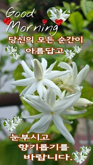 인사말 카드 Screenshot 2