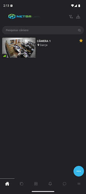 NETBRcam Screenshot 0