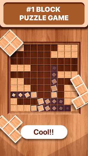 Wood Block - Puzzle game Screenshot 0