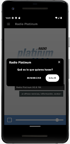 Radio Platinum Screenshot 2