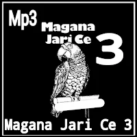 Magana Jari Ce Littafi Na 3